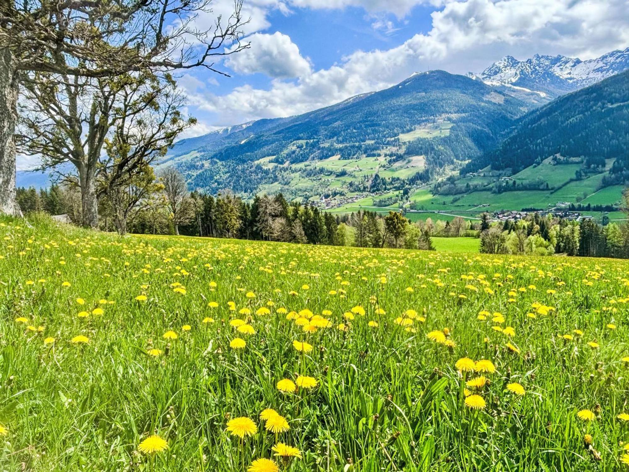 Apartment Salzmannhof - Rmu210 By Interhome Ramsau am Dachstein Eksteriør billede